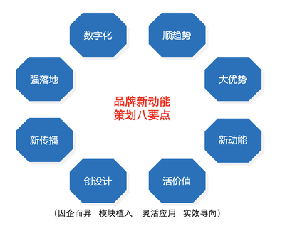 卓力电器国内市场品牌营销策划案